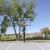 Basketball court facing building and trees