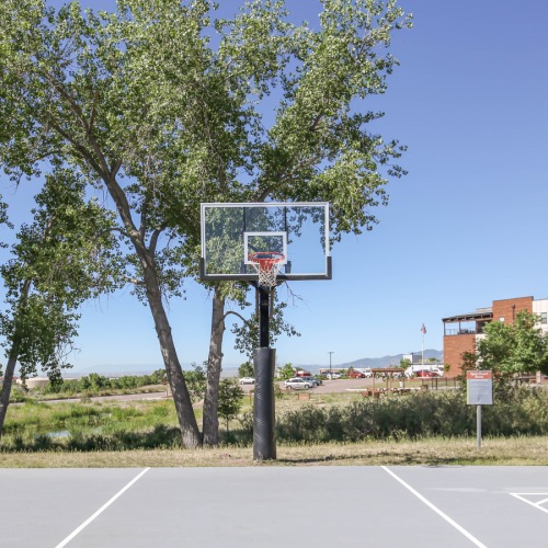 Shoot hoops on our basketball court Basketball court facing building and trees